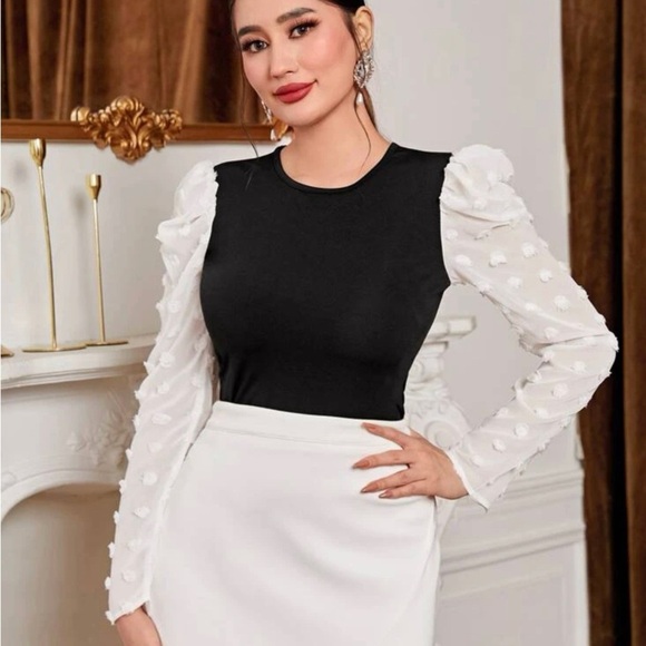 Two Tone Swiss Dot Women's Puff Sleeve Top - Picture 2 of 3